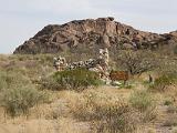 Huecas Tanks SP : New Mexico